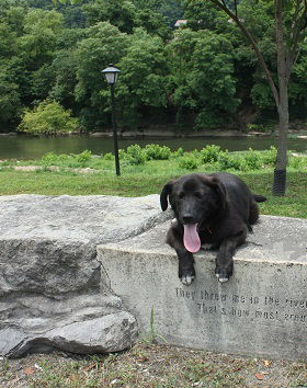 Harvey