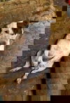 Spudzie