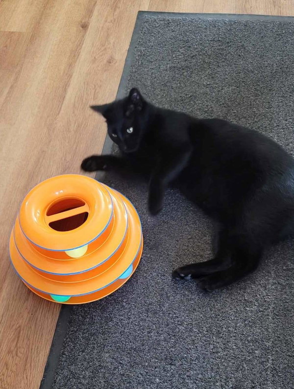 Kiki