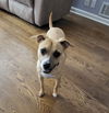 Lucy