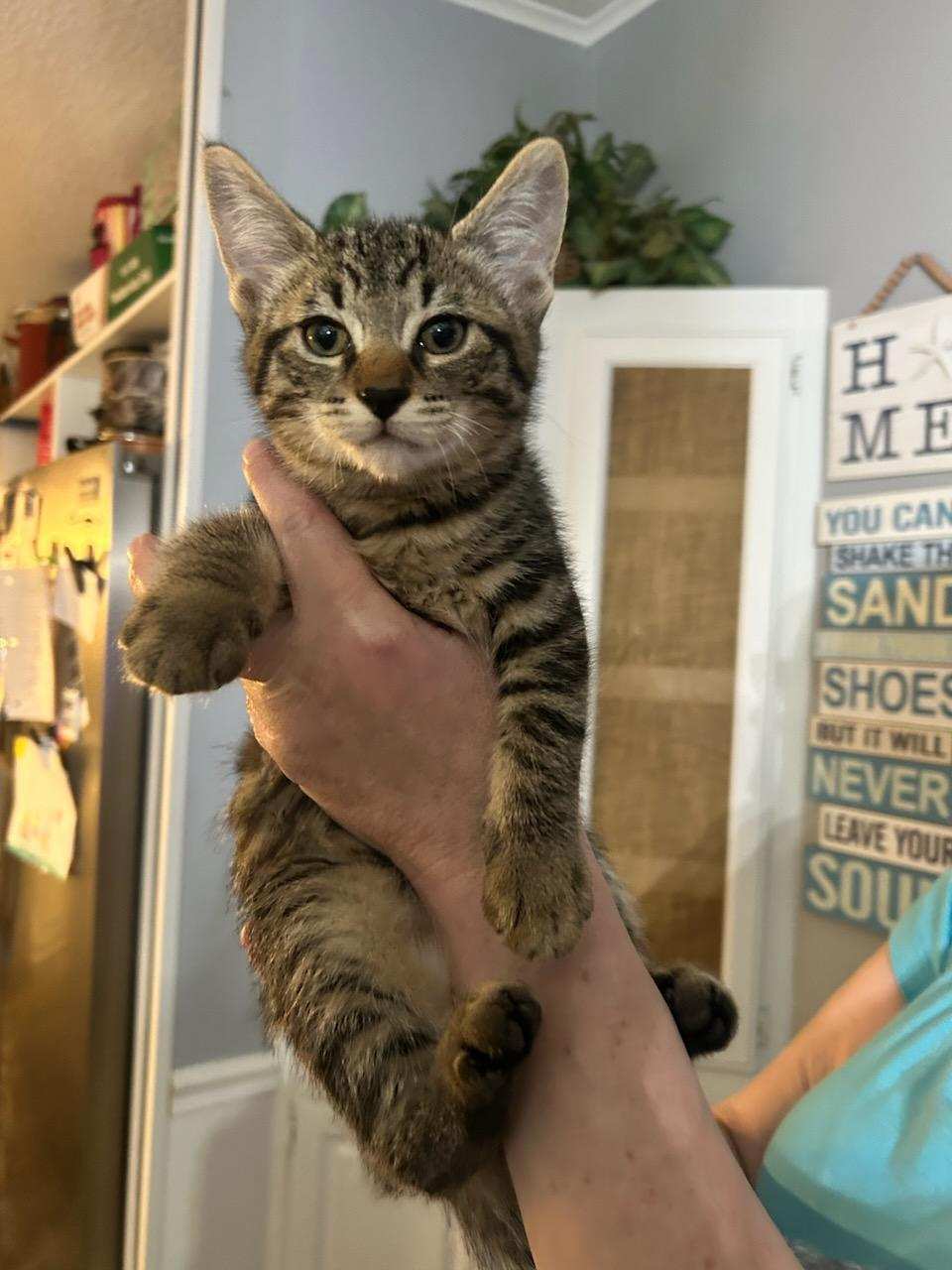 Reecie Image