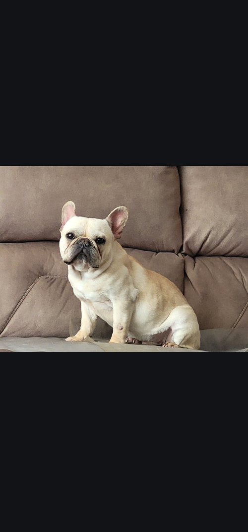 Charlie