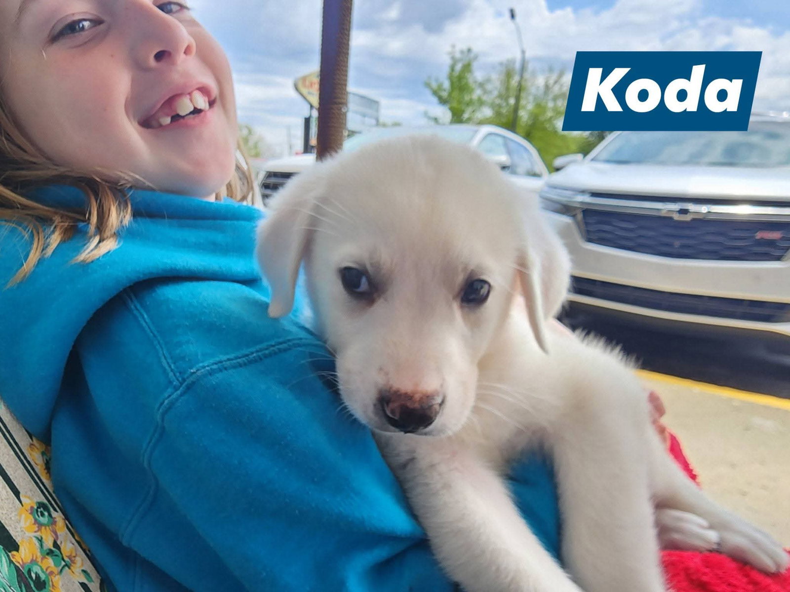 Koda