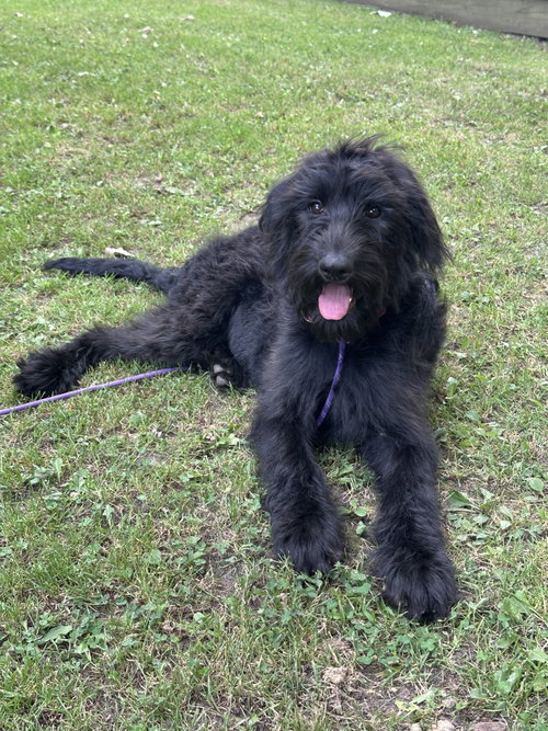 Daphne photo 2