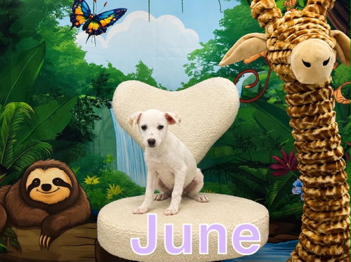 June
