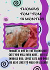 THOMAS TOM~TOM