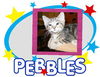 pebbles