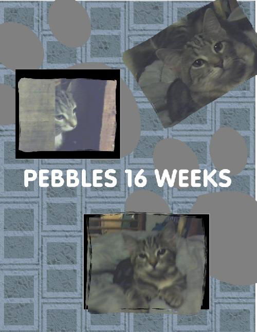 pebbles