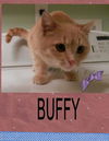 Buffy