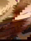 Swiffer