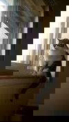 Soda