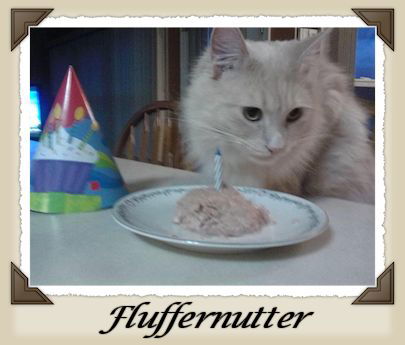 Mr. Fluffernutter