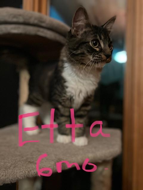 Etta