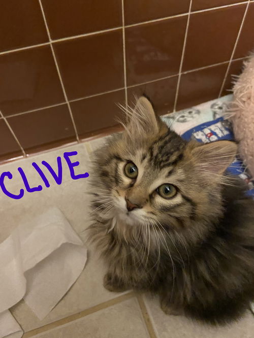 Clive