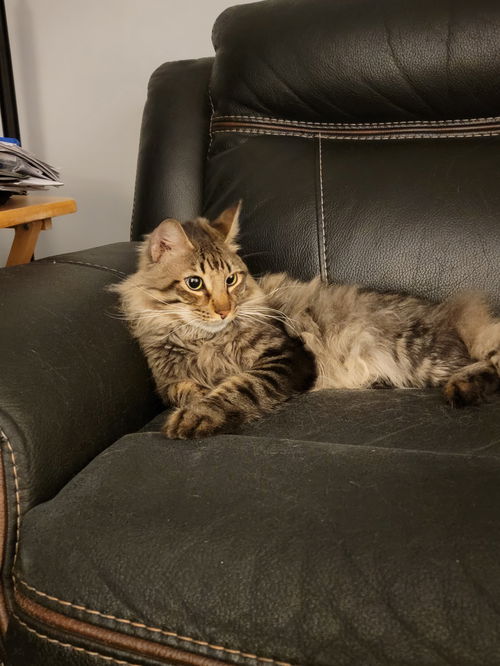Logan