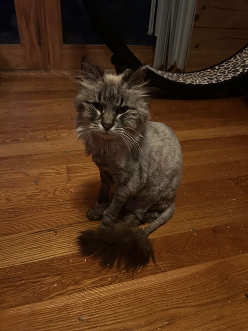 Yuki