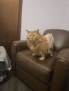 Omar