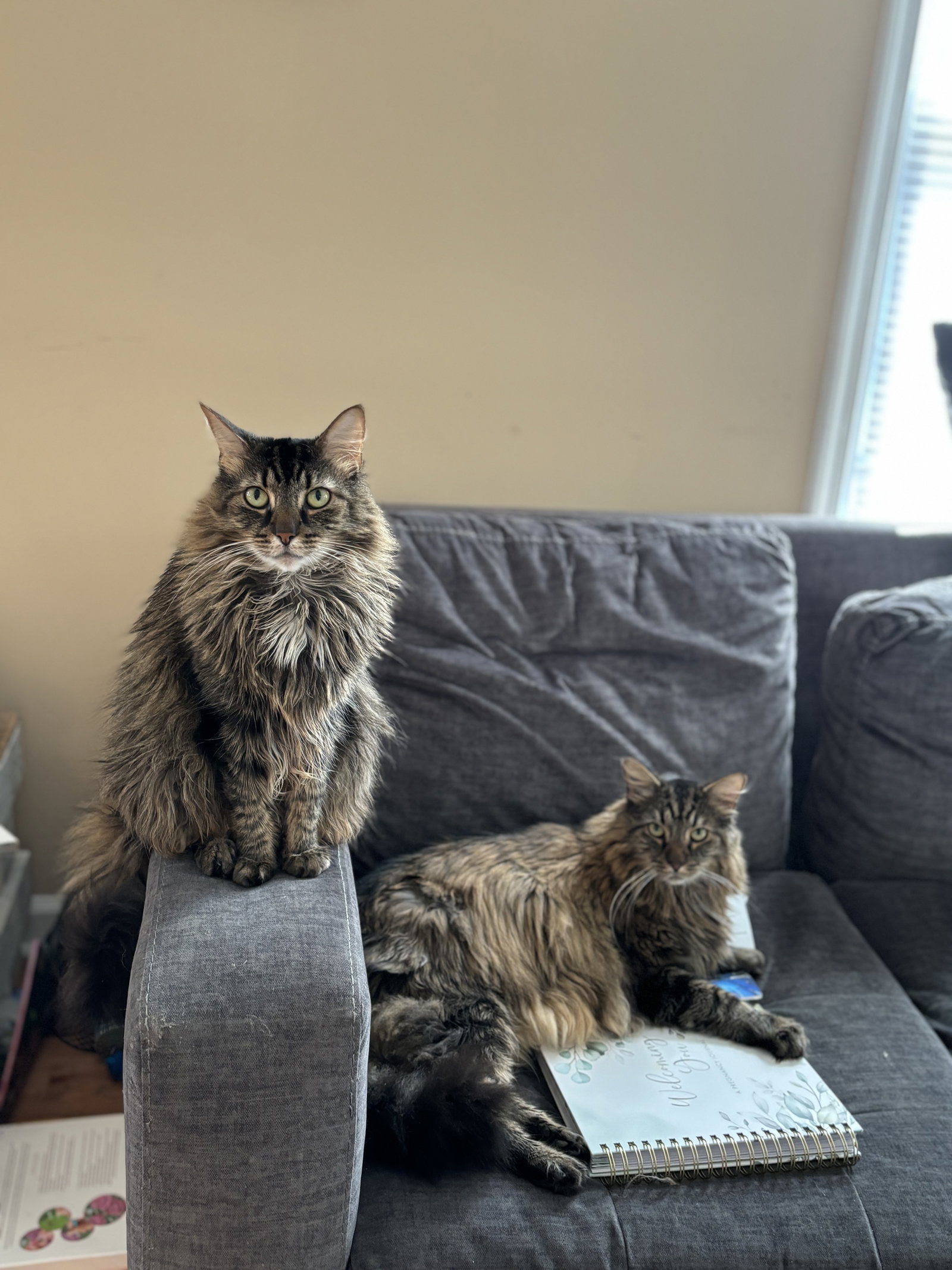 Sissy & Maui