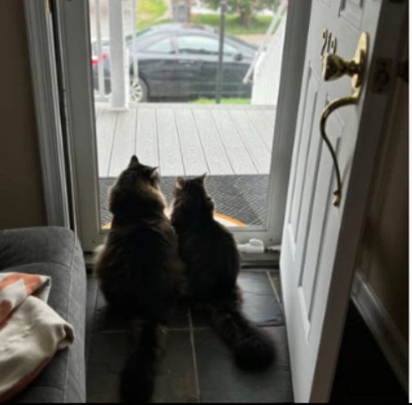 Sissy & Maui