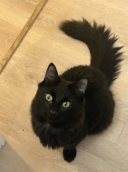 Soot