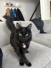 Soot