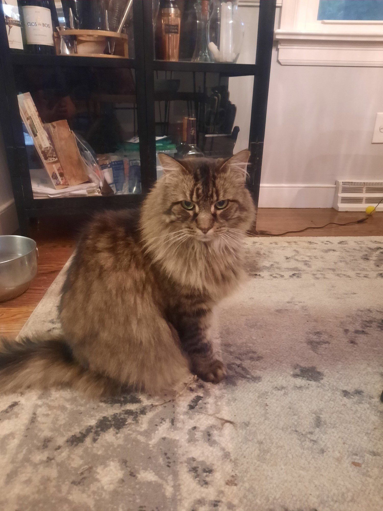 Kittyman Courtesy Post