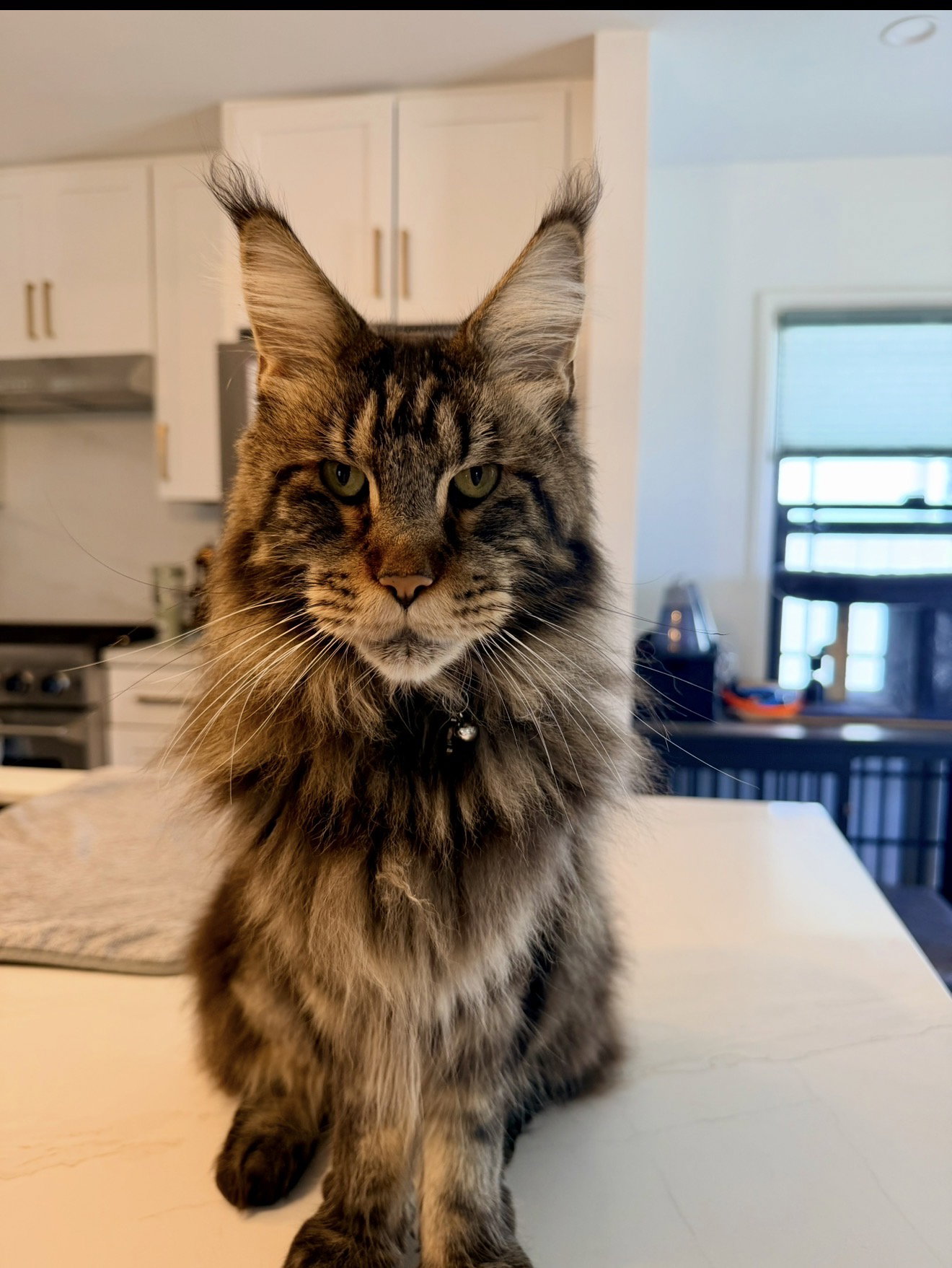 Emerald (Emmy)