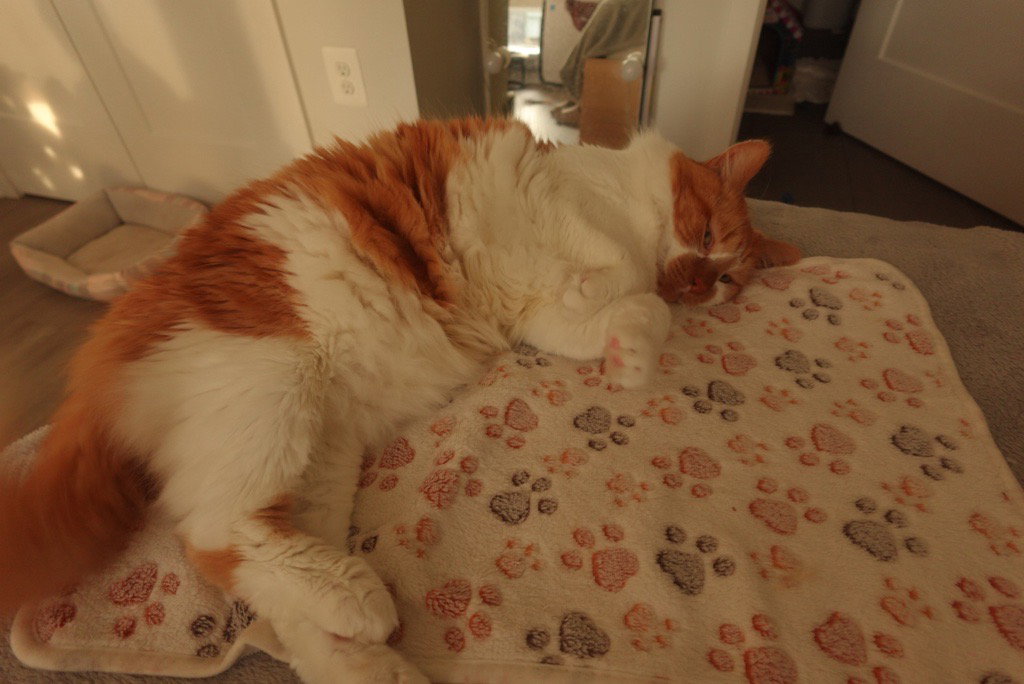 Spock, photo 12