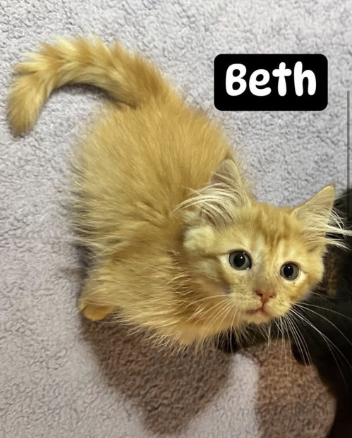 Beth