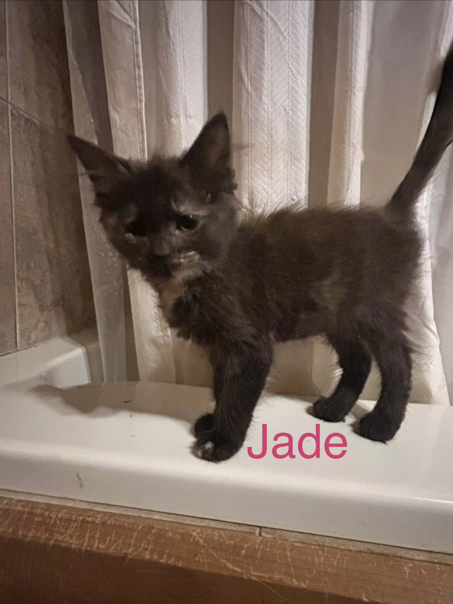 Jade