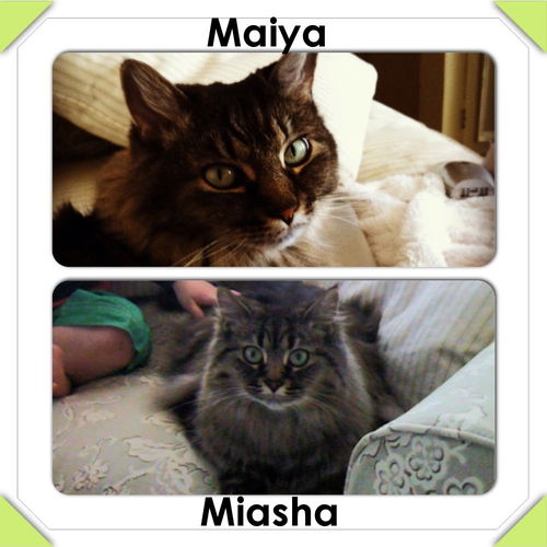 Miasha and Maiya - Courtesy Post