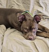 Rudy - Photo 3