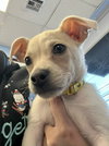 Clark - Photo 2