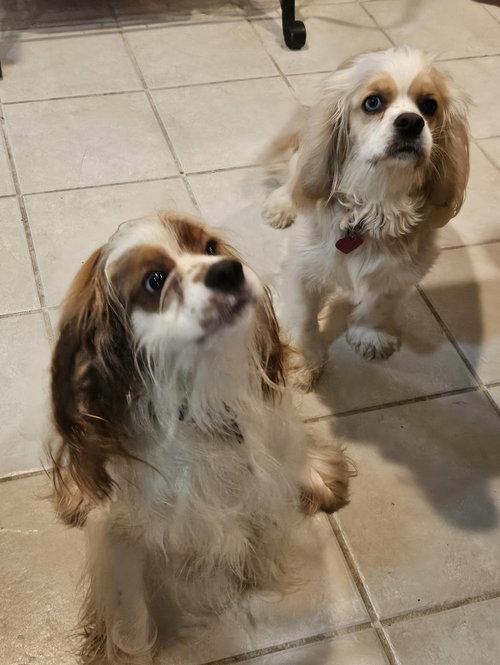 Jack and Jill