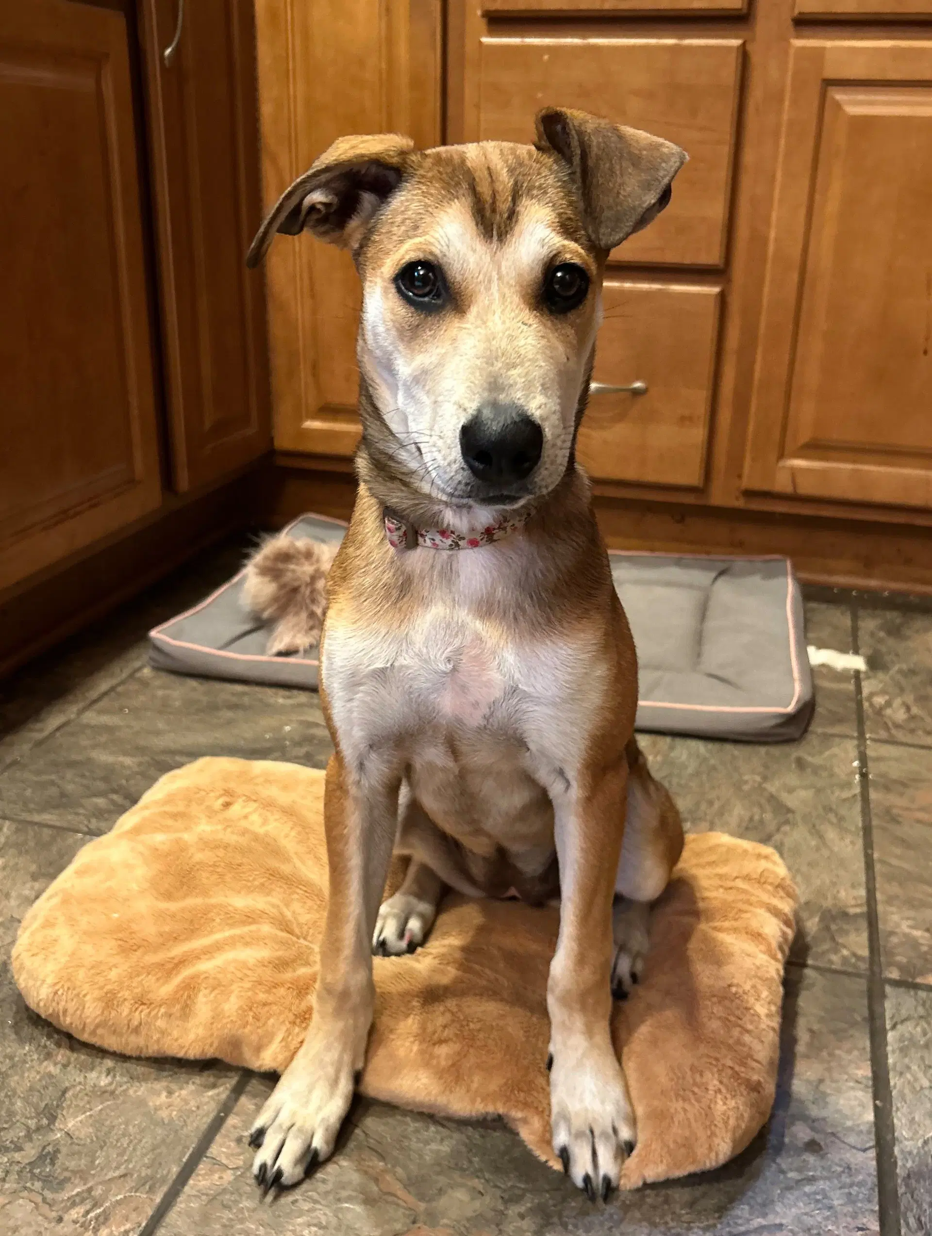 Riley image 3