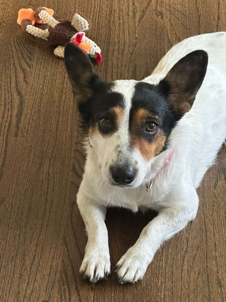Maggie