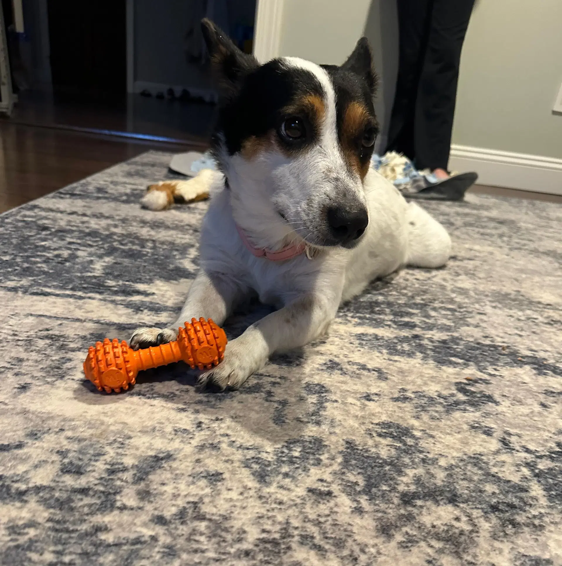 Maggie image 2