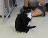 Oliver (bonded with Jack II)