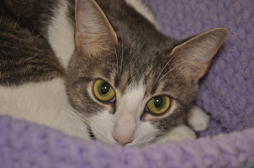 Steele 2017 (bonded with son Sloan)