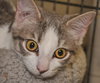 Steele 2017 (bonded with son Sloan)