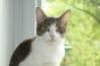 Steele 2017 (bonded with son Sloan)