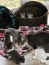 Steele 2017 (bonded with son Sloan)