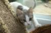 Steele 2017 (bonded with son Sloan)
