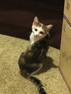 April (bonded with sister Allie)