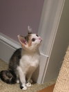 April (bonded with sister Allie)