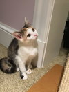 April (bonded with sister Allie)