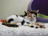 April (bonded with sister Allie)