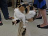 April (bonded with sister Allie)
