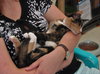 Keva (bonded with Nola)