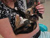 Keva (bonded with Nola)